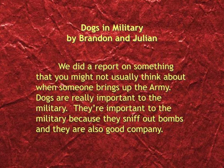 dogs in military by brandon and julian