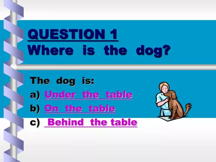 question 1 where is the dog