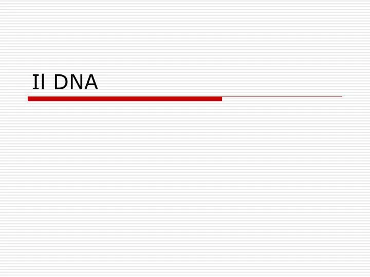 il dna