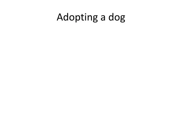 adopting a dog