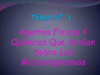 tema n 3