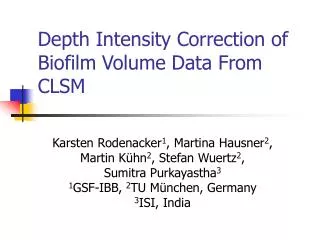 Depth Intensity Correction of Biofilm Volume Data From CLSM