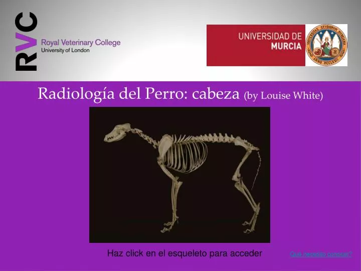 radiolog a del perro cabeza by louise white