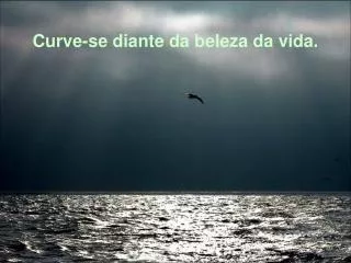 curve se diante da beleza da vida