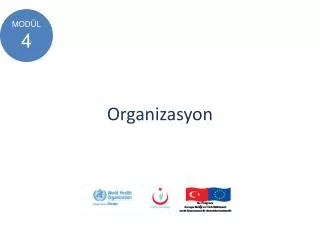 organizasyon
