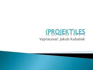 projekt les