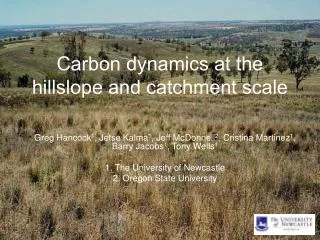 Carbon dynamics at the hillslope and catchment scale