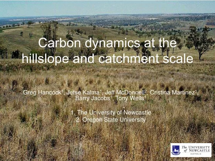 carbon dynamics at the hillslope and catchment scale