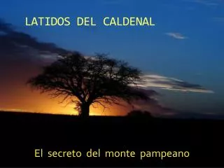 latidos del caldenal
