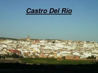 castro del r o