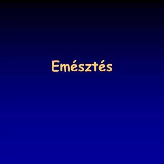 em szt s
