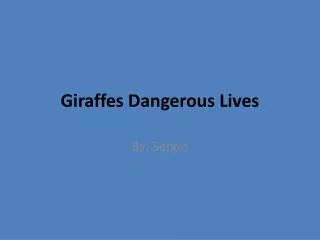 Giraffes Dangerous Lives