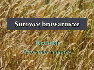 surowce browarnicze