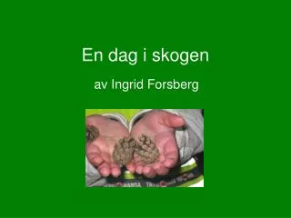 en dag i skogen