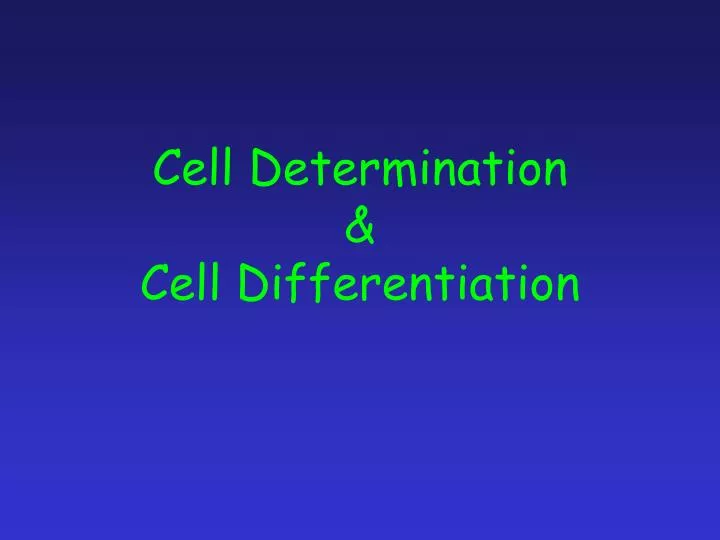 cell determination cell differentiation