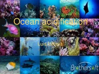 Ocean acidification