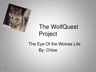 The WolfQuest Project