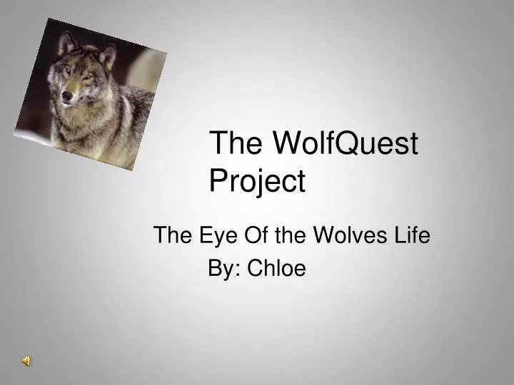 the wolfquest project
