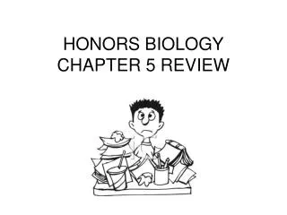 HONORS BIOLOGY CHAPTER 5 REVIEW