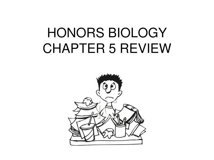 honors biology chapter 5 review