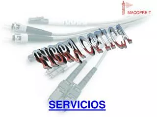 servicios
