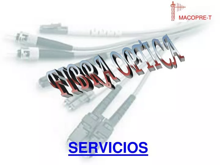 servicios