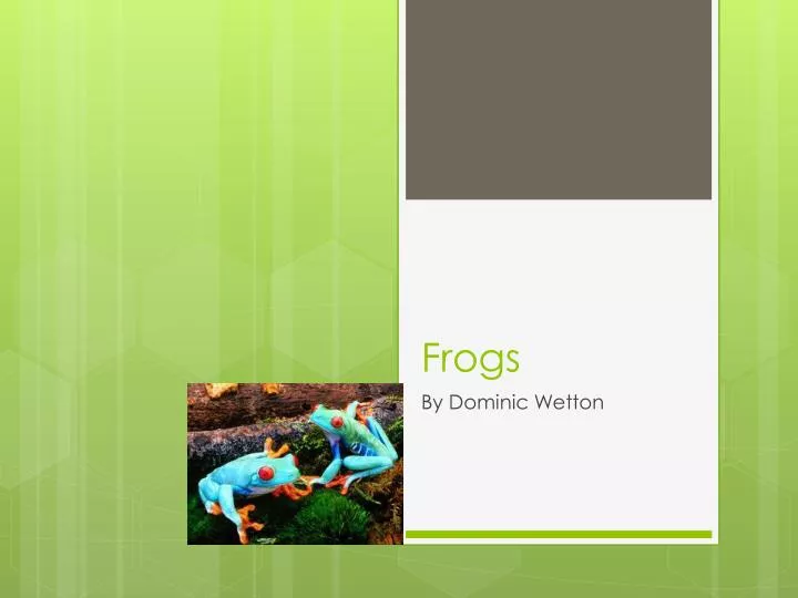 frogs