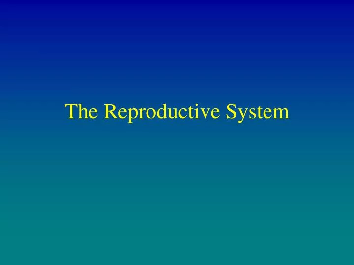 the reproductive system