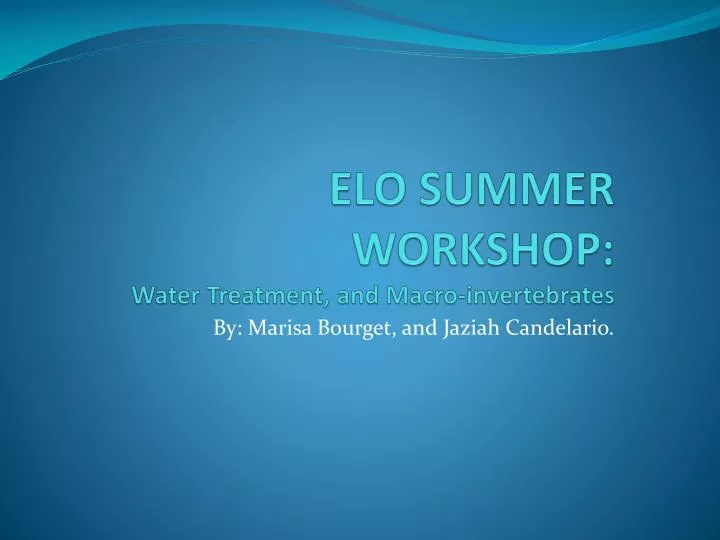 elo summer workshop water treatment and macro invertebrates