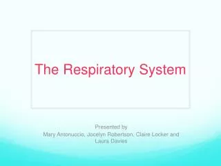 The Respiratory System