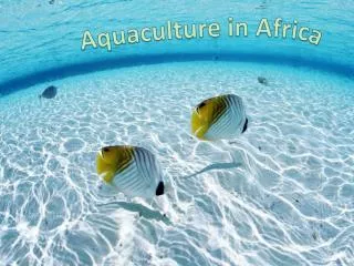 Aquaculture in Africa