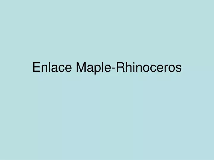 enlace maple rhinoceros