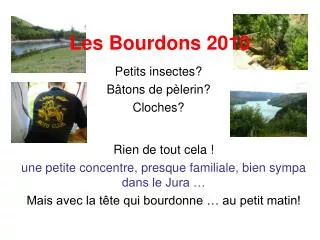 les bourdons 2010