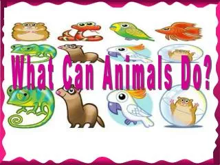 What Can Animals Do?