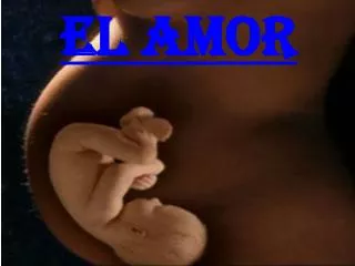 el amor