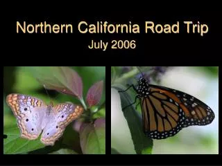 Northern California Road Trip July 2006