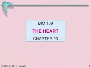 BIO 169 THE HEART CHAPTER 20