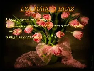 lya m rcia braz