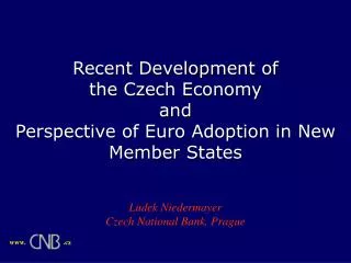 Recent Development of the Czech Economy and Perspective of Euro Adoption in New Member States