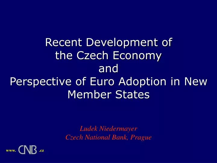 recent development of the czech economy and perspective of euro adoption in new member states