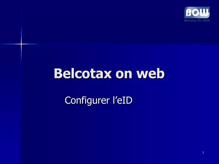 belcotax on web