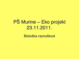 p murine eko projekt 23 11 2011