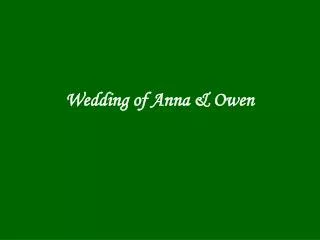 Wedding of Anna &amp; Owen