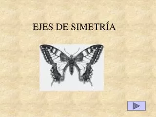 ejes de simetr a