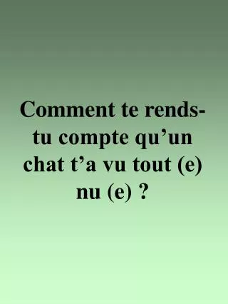 comment te rends tu compte qu un chat t a vu tout e nu e