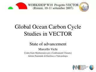 global ocean carbon cycle studies in vector
