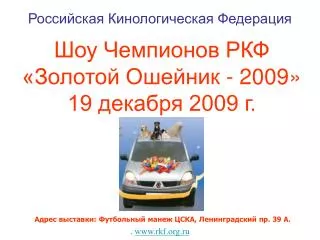 2009 19 2009