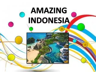 AMAZING INDONESIA