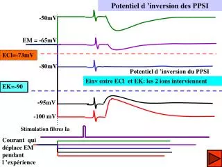 potentiel d inversion des ppsi