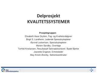 delprosjekt kvalitetssystemer